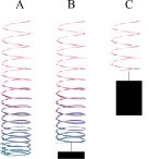 springs A, B, and C as described in the text